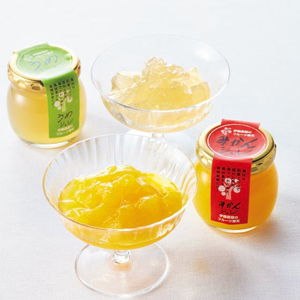 ZZ050503〈伊藤農園〉フルーツ寒天ジュレギフト