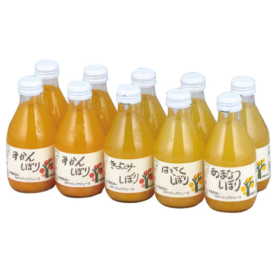 499123〈伊藤農園〉100%ピュアジュース 10本飲み比べ