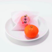 731361〈ｈａｎａｆｒｕ〉佐賀県産　華蜜柑