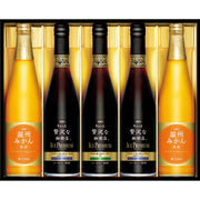 028223〈ＡＧＦ〉ちょっと贅沢な珈琲店アイスプレミアムアソートギフト